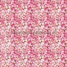 Passion flowers fottobehaang ML210 Wallpaper Queen Behang Expresse